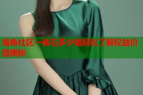 海角社区一砖石多少钱轻松了解权益价值揭秘