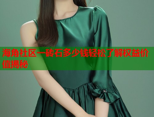 海角社区一砖石多少钱轻松了解权益价值揭秘  第1张