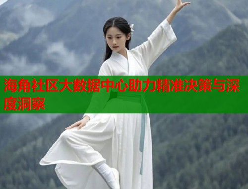 海角社区大数据中心助力精准决策与深度洞察  第1张