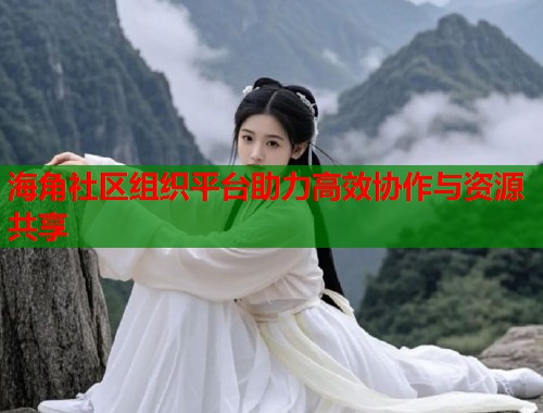 海角社区组织平台助力高效协作与资源共享  第2张