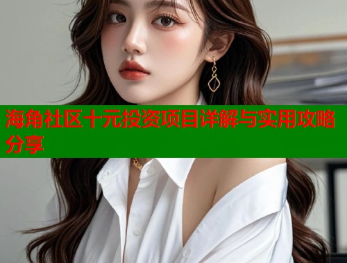海角社区十元投资项目详解与实用攻略分享  第1张