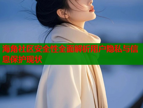 海角社区安全性全面解析用户隐私与信息保护现状  第1张