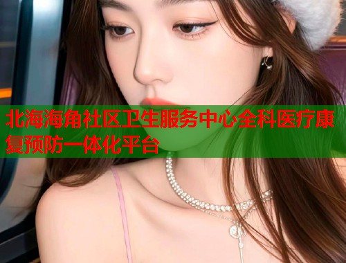 北海海角社区卫生服务中心全科医疗康复预防一体化平台  第2张