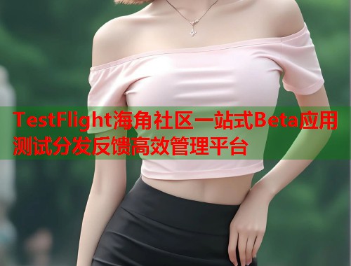 TestFlight海角社区一站式Beta应用测试分发反馈高效管理平台  第1张